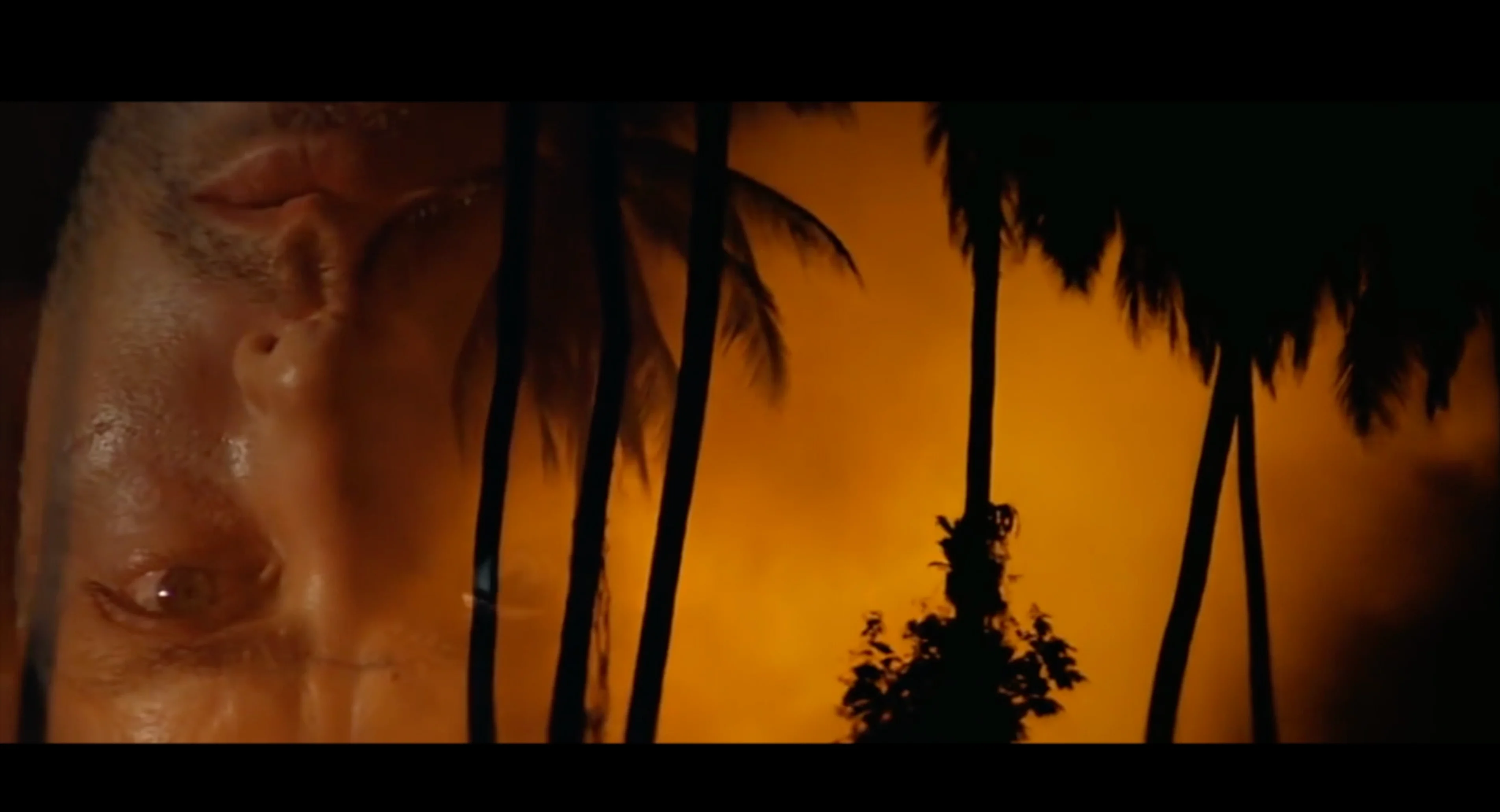 Apocalypse Now