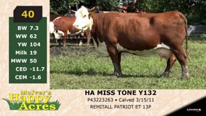 Lot #40 - HA MISS TONE Y132