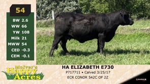 Lot #54 - HA ELIZABETH E730