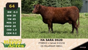 Lot #64 - HA SARA D620