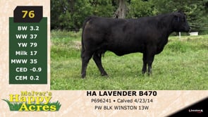 Lot #76 - HA LAVENDER B470