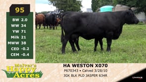 Lot #95 - HA WESTON Y070
