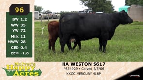 Lot #96 - HA WESTON S617