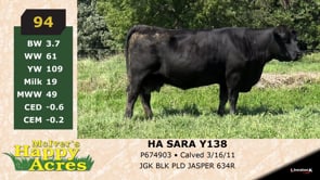 Lot #94 - HA SARA Y138
