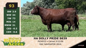 Lot #93 - HA DOLLY PRIDE Z639