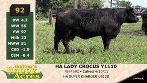 Lot #92 - HA LADY CROCUS Y1110