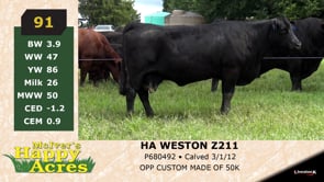 Lot #91 - HA WESTON Z211