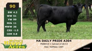 Lot #90 - HA DAILY PRIDE A304