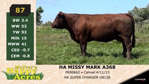 Lot #87 - HA MISSY MARK A368