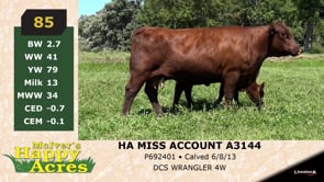 Lot #85 - HA MISS ACCOUNT A3144