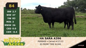 Lot #84 - HA SARA Z396