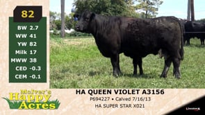 Lot #82 - HA QUEEN VIOLET A3156