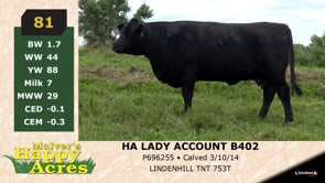 Lot #81 - HA LADY ACCOUNT B402