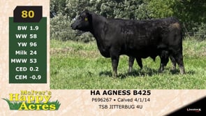 Lot #80 - HA AGNESS B425