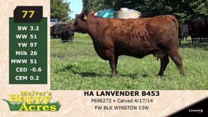 Lot #77 - HA LAVENDER B453