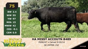 Lot #75 - HA MISSY ACCOUNT B489