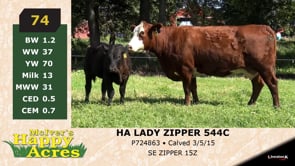 Lot #74 - HA LADY ZIPPER 544C