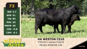 Lot #73 - HA WESTON C510