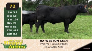 Lot #72 - HA WESTON C514