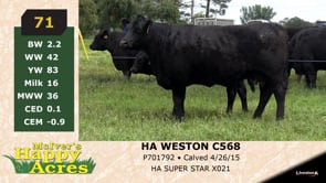 Lot #71 - HA WESTON C568