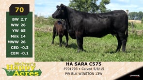 Lot #70 - HA SARA C575