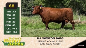 Lot #68 - HA WESTON D603