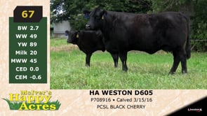 Lot #67 - HA WESTON D605