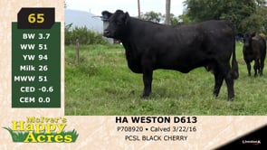 Lot #65 - HA WESTON D613