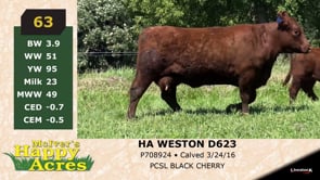 Lot #63 - HA WESTON D623