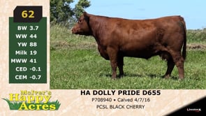 Lot #62 - HA DOLLY PRIDE D655