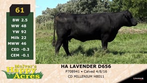 Lot #61 - HA LAVENDER D656