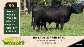 Lot #59 - HA LADY ZIPPER 674D