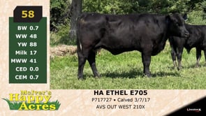 Lot #58 - HA ETHEL E705