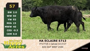 Lot #57 - HA ECLAIRE E713