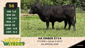 Lot #56 - HA EMBER E714