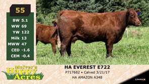 Lot #55 - HA EVEREST E722