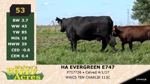 Lot #53 - HA EVERGREEN E747