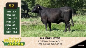 Lot #52 - HA EBEL E752