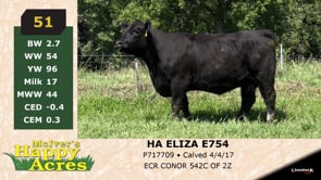 Lot #51 - HA ELIZA E754