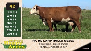 Lot #42 - HA MS LAMP ROLLO U8181