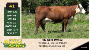 Lot #41 - HA KIM W932