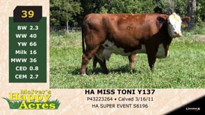 Lot #39 - HA MISS TONI Y137