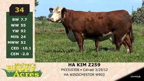 Lot #34 - HA KIM Z259