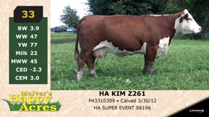 Lot #33 - HA KIM Z261