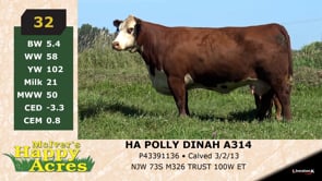 Lot #32 - HA POLLY DINAH A314