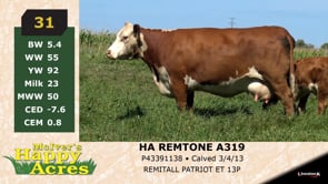 Lot #31 - HA REMTONE A319
