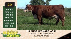 Lot #29 - HA MISS LEANARD A351