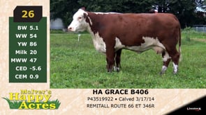 Lot #26 - HA GRACE B406