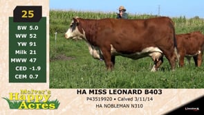Lot #25 - HA MISS LEANARD B403