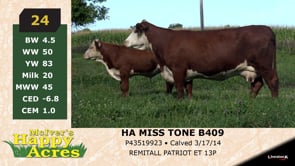 Lot #24 - HA MISS TONE B409